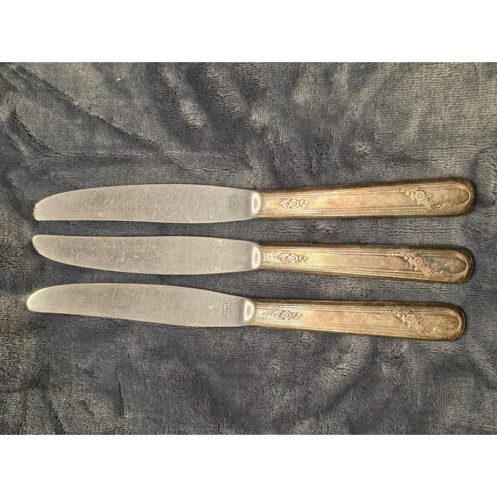 Vintage Tudor Plate Oneida Community Silverplate Dinner Knives Floral Set of 3